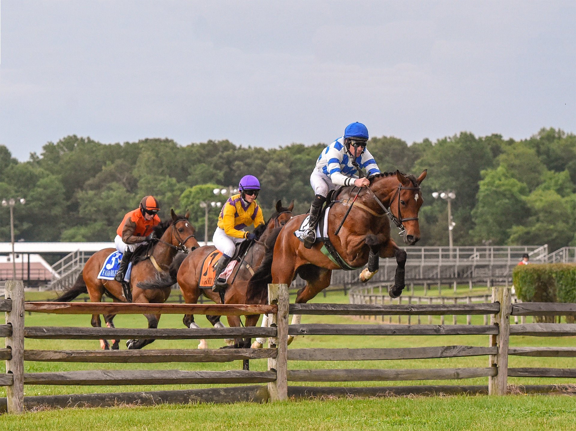 Three jockeys on horseback race across a grassy field during the Fair Hill Races, with spectators and white fencing in the background.
