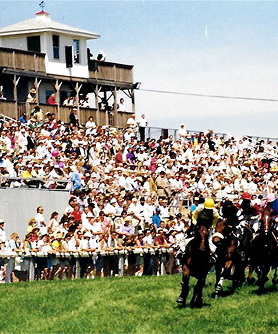 The Races At Fair Hill
